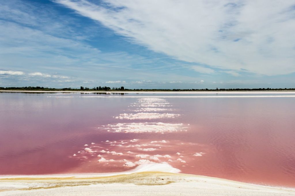 Lac rose à Aigues-Mortes