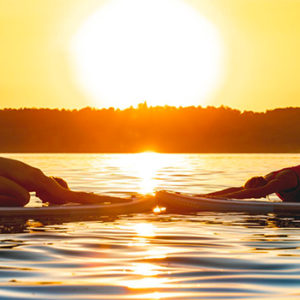 surf and yoga