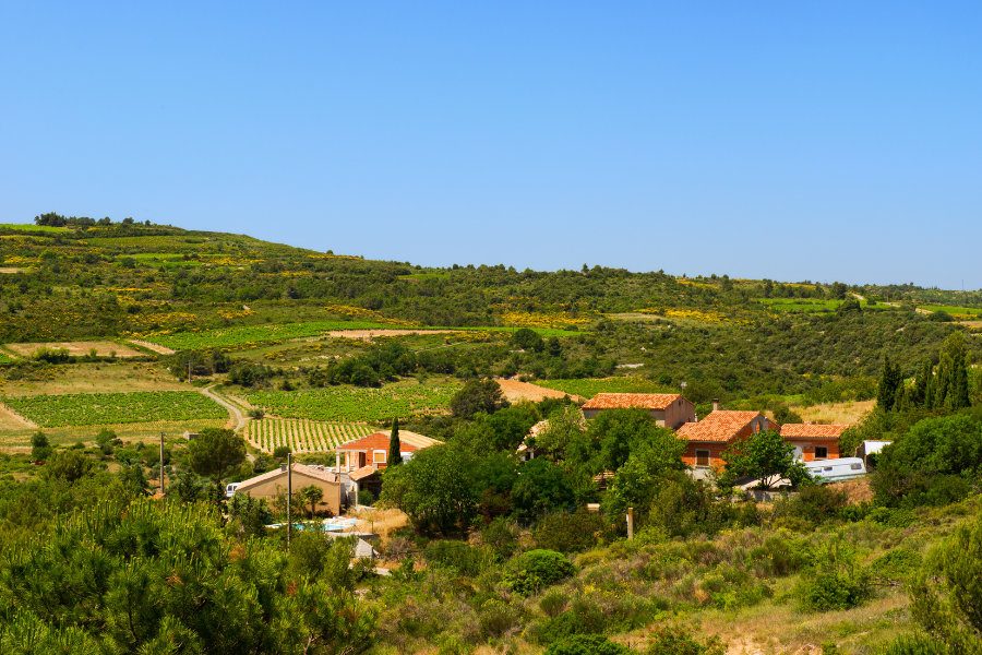 voyage pas cher en juillet : languedoc