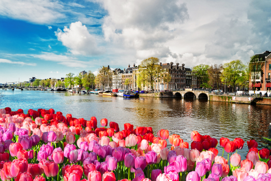 bon plan logement amsterdam fleurs