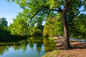 Balade nature au jardin public