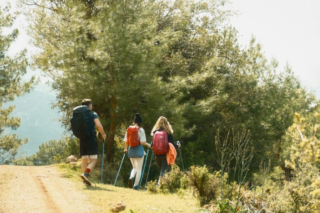 Group of four hikers with backpacks walking along a dirt trail through a forest, using trekking poles on a sunny day.