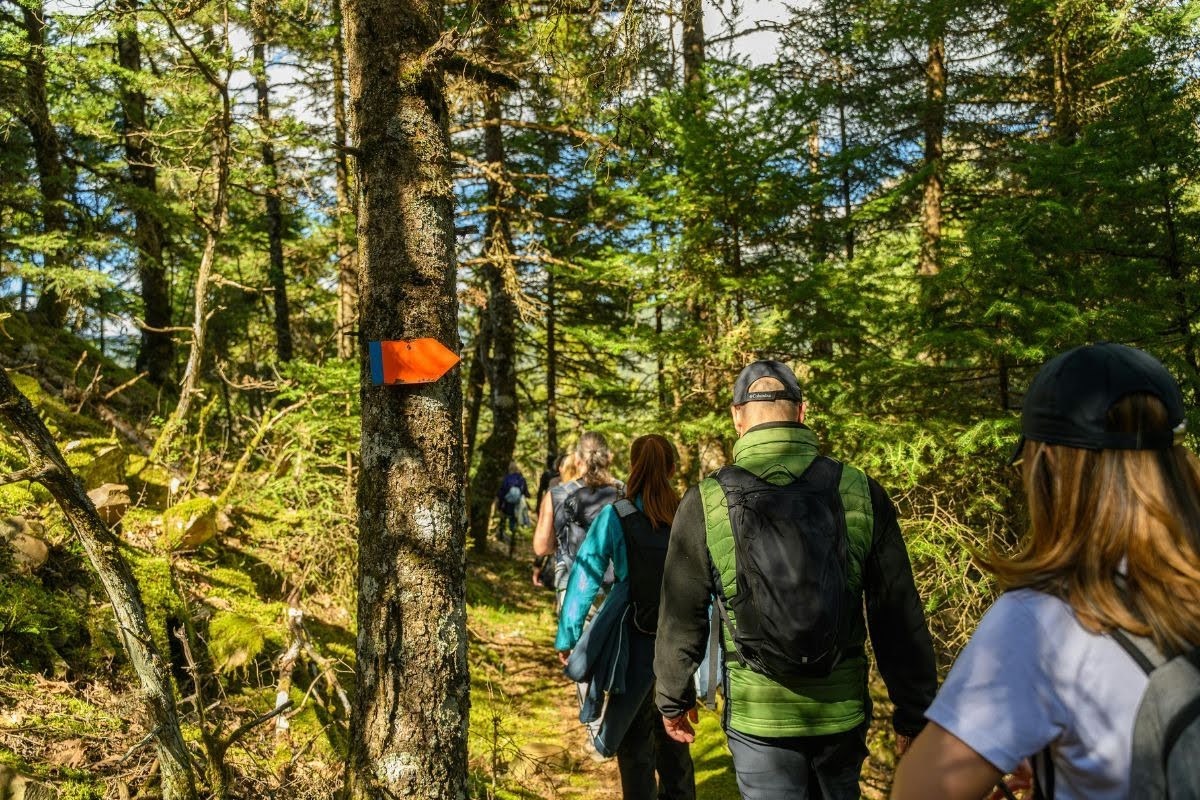 Group of hikers walking along a forest trail with backpacks and an orange trail marker on a tree nearby.