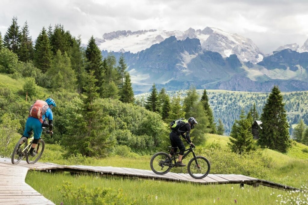 Forêt - Voyages sportifs - Départ 18:25