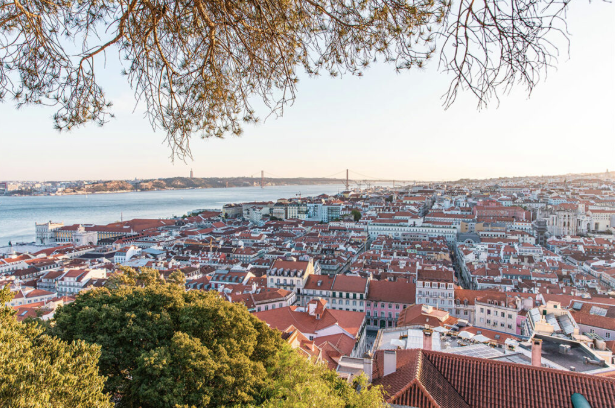 Panoramic cityscape of a European town with red-tiled rooftops along a wide river, a distant bridge, and tree branches framing the foreground.