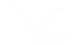 logo ancv